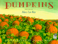 Pumpkins A Story for a Field cover