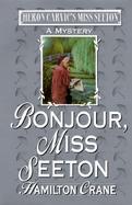 Bonjour, Miss Seeton cover