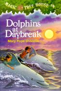 Dolphins at Daybreak cover