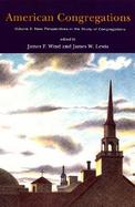 American Congregations New Perspectives in the Study of Congregations (volume2) cover
