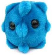 GiantMicrobes-Common Cold cover