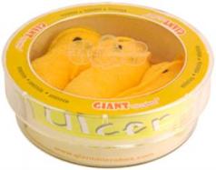 GiantMicrobes Petridish-Ulcer cover