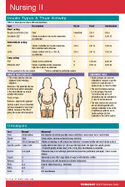 Nursing II Pocket Chart cover