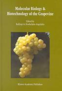 Molecular Biology & Biotechnology of Grapevine cover