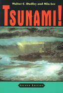 Tsunami! cover