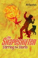 Stirring the Storm (Shapeshifter) cover