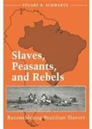 Slaves, Peasants, and Rebels Reconsidering Brazilian Slavery cover