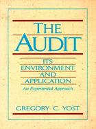 The Audit Its Environment and Application  An Experiential Approach cover