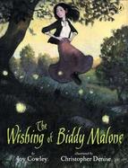 The Wishing of Biddy Malone cover