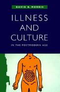 Illness and Culture in the Postmodern Age cover