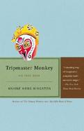 Tripmaster Monkey His Fake Book cover