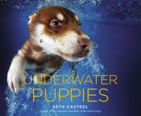Underwater Puppies cover