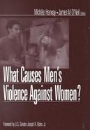 What Causes Men's Violence Against Women cover