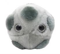 GiantMicrobes-HPV (Human papillomavirus) cover