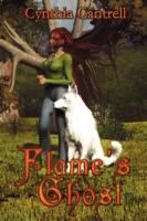 Flame's Ghost cover