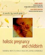 Holistic Pregnancy and Childbirth cover