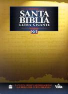 Nvi Santa Biblia Letra Gigante Imit Negro / Giant Print Bible cover