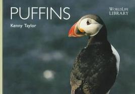 Puffins cover