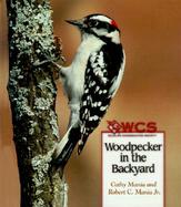 Woodpecker in the Backyard cover