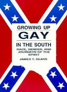 Growing Up Gay in the South Race, Gender, and the Journeys of the Spirit cover