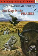 One Day in the Prairie cover