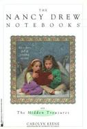The Hidden Treasures cover