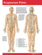 Acupuncture Points Chart-Single Panel Chart cover