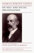 On Self and Social Organization cover