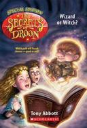 Wizard or Witch cover