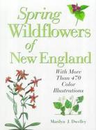 Spring Wildflowers of New England cover