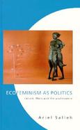 Ecofeminism as Politics cover