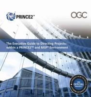 Executive Guide to Directing Projects Within a Prince2 and Msp Environment cover