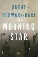 The Morning Star : A Novel cover