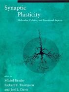 Synaptic Plasticity Molecular, Cellular, and Functional Aspects cover