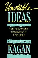 Unstable Ideas Temperament, Cognition and Self cover