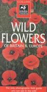 Wild Flowers (Britain and Europe) cover
