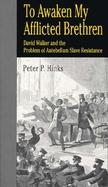 To Awaken My Afflicted Brethren David Walker and the Problem of Antebellum Slave Resistance cover