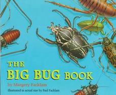 The Big Bug Book cover