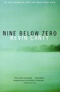Nine Below Zero A Novel cover