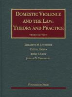 Domestic Violence and the Law: Theory and Practice cover