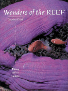 Wonders of the Reef Diving With a Camera cover