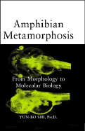Amphibian Metamorphosis From Morphology to Molecular Biology cover