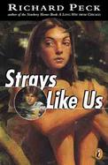 Strays Like Us cover