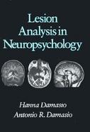 Lesion Analysis in Neuropsychology cover