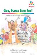 God, Please Send Fire! Elijah and the Prophets of Baal cover